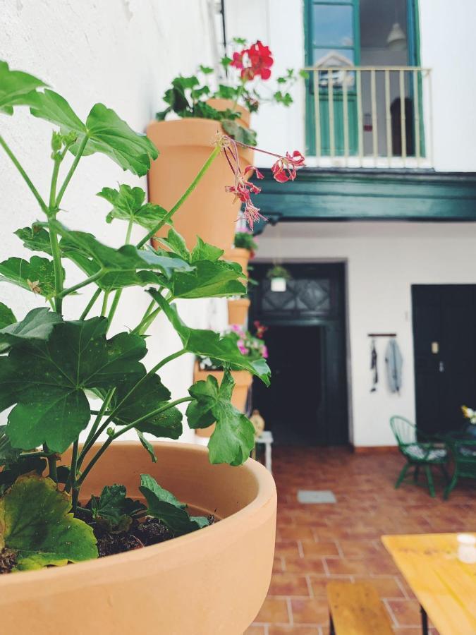Maria Magdalena - Room 6 Málaga Exterior foto